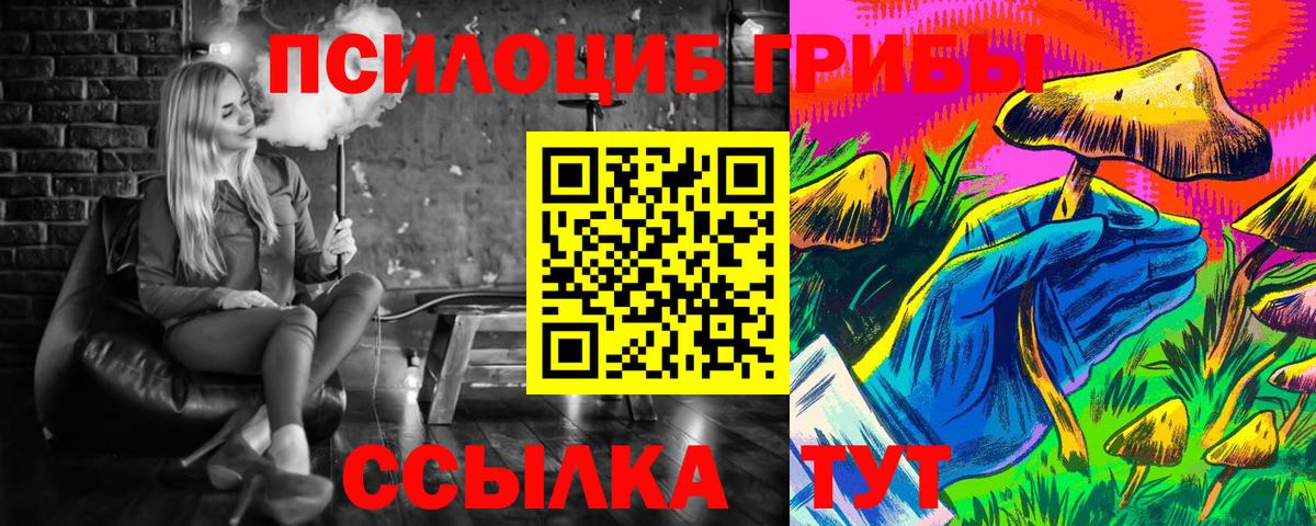Псилоцибиновые грибы Psilocybe  Вход с VPN  Обнинск 